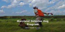 Maryland Detector Dog Program