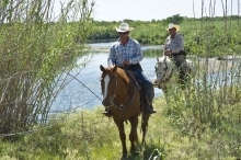 Two APHIS employees on horses wearing cowboy hats 