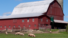 barn