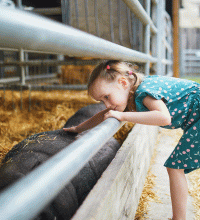 girl in a green dress petting a pig