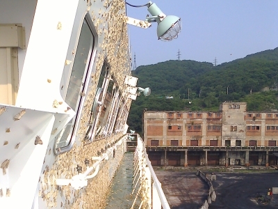 Flighted Spongy Moth Complex egg masses on the side of a ship