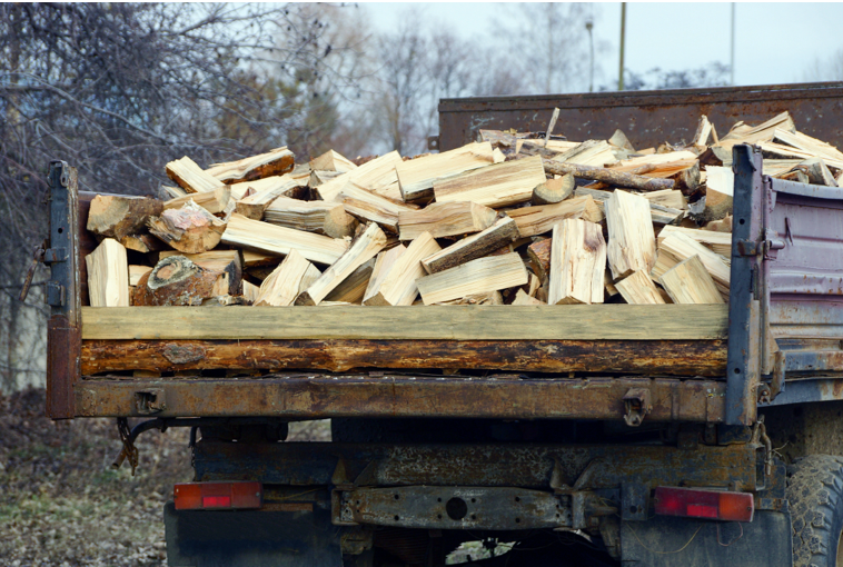 transporting-firewood